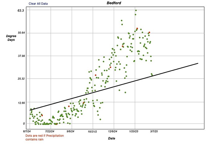 Scatter Plot